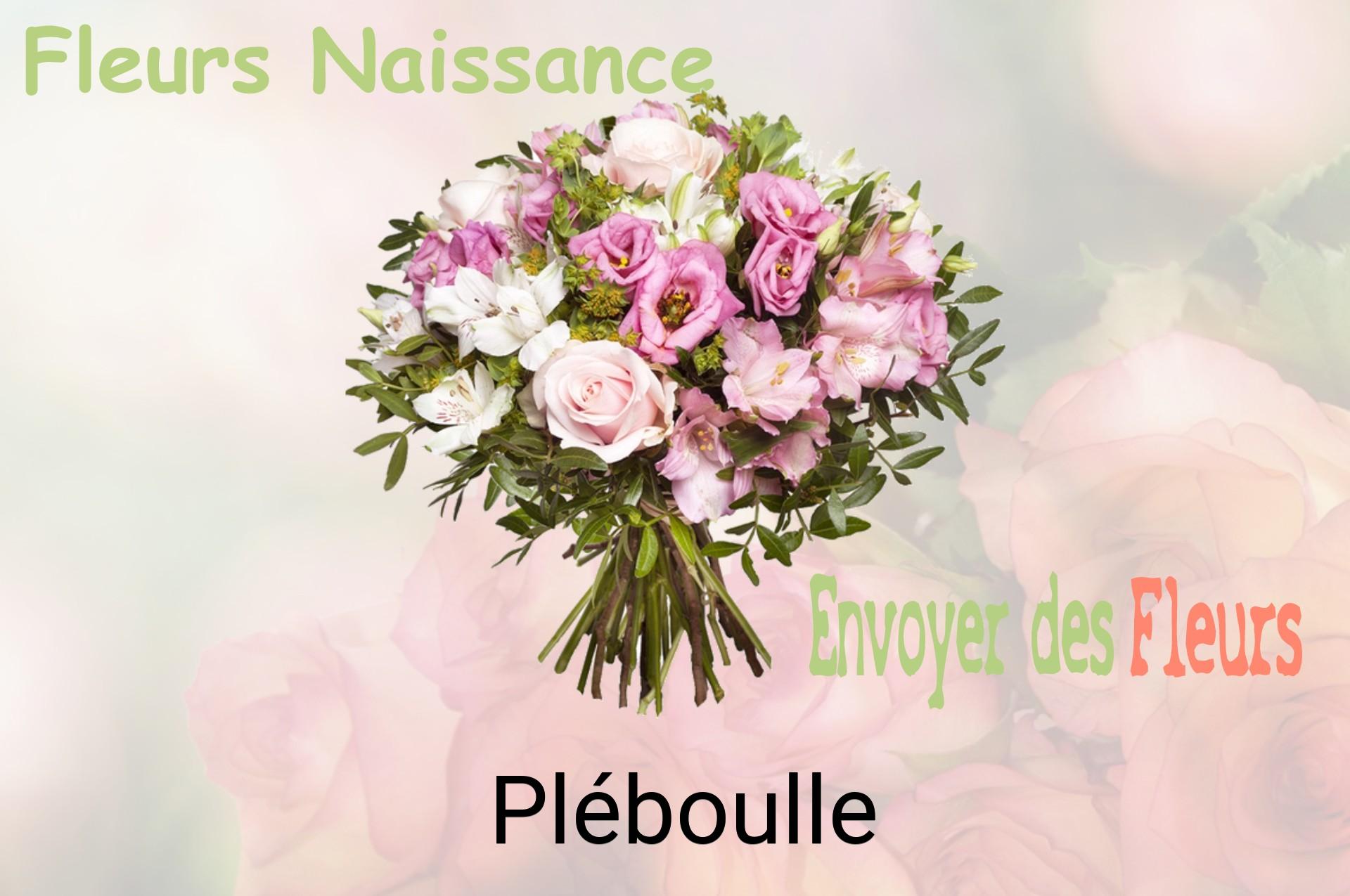 Bouquet de fleurs de naissance livré à Pléboulle